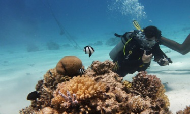 Rad' Réunion: an active island adventure
